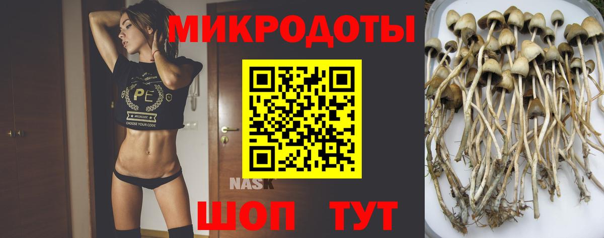 Орск  Галлюциногенные грибы ЛСД  Вход с VPN 